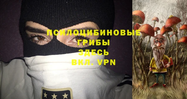 а пвп мука Абаза