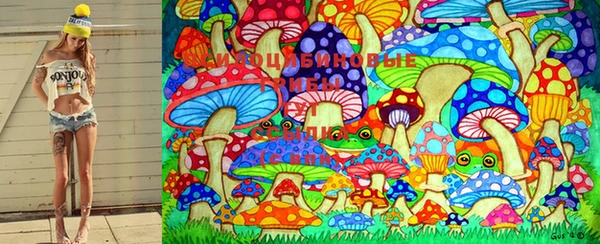 PSILOCYBIN Абдулино