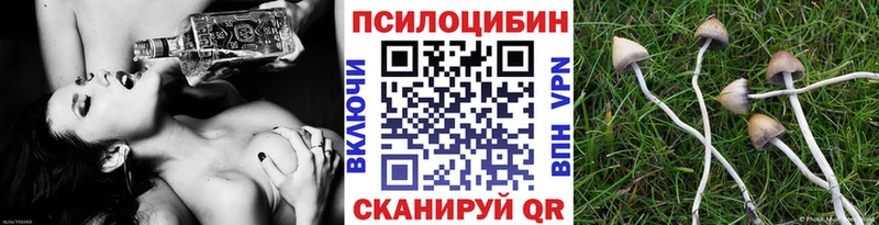 Псилоцибиновые грибы Magic Shrooms  где найти наркотики  Вытегра 