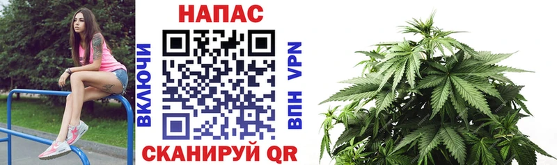 МАРИХУАНА тримм где найти наркотики mega ТОР Вытегра